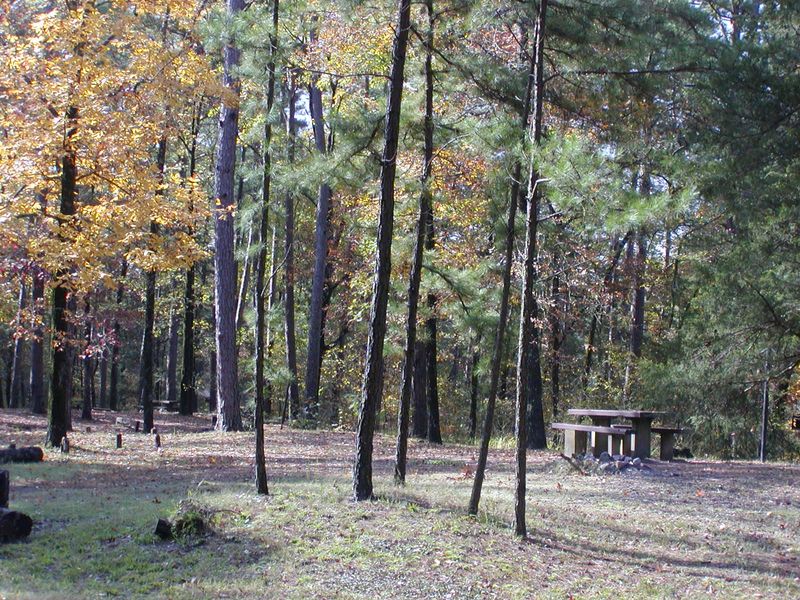 Billy Creek Recreation Area Oklahoma's Official Travel